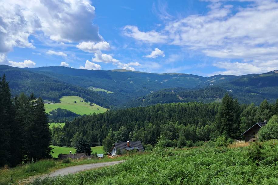 3 Hebalm Grundstücke mit 4 bewilligten Ferienhäuser (Provisionsfrei), Grund und Boden-kauf, 250.000,€, 8530 Deutschlandsberg