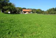 Hübsche, landwirtschaftliche Wiese mit kleinem Wald - KEIN Baugrund !!!