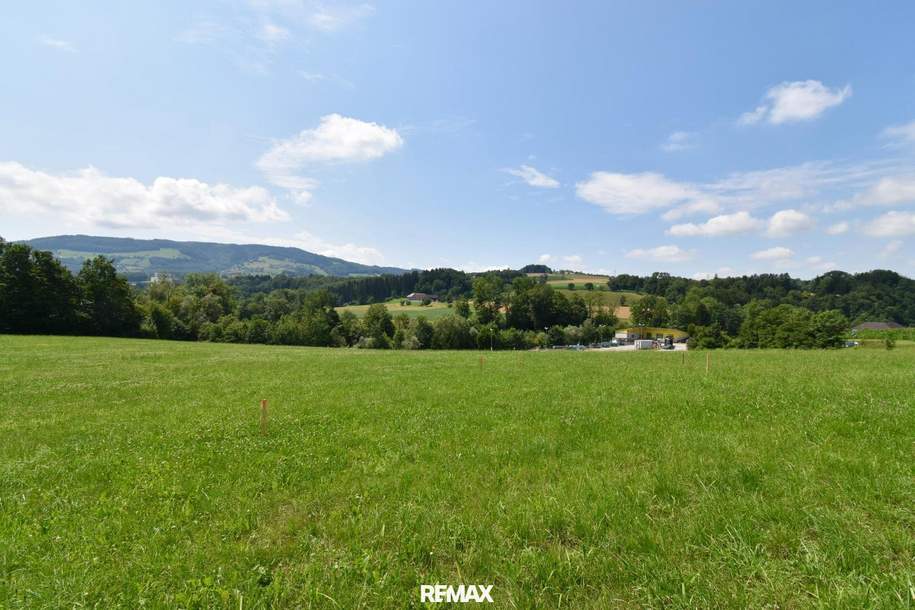 Wohnen im Grünen &amp; doch stadtnah! 729 m² Baugrund mit traumhaftem Ausblick in ruhiger/grüner Lage!, Grund und Boden-kauf, 105.000,€, 4441 Amstetten