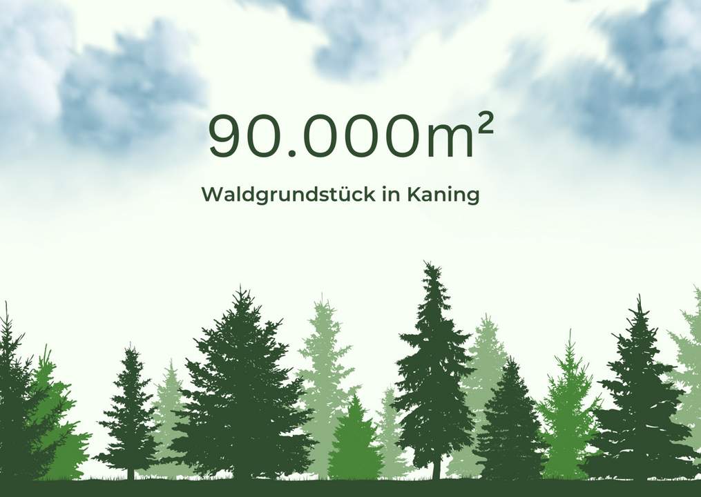 9ha Waldfläche in Kaning