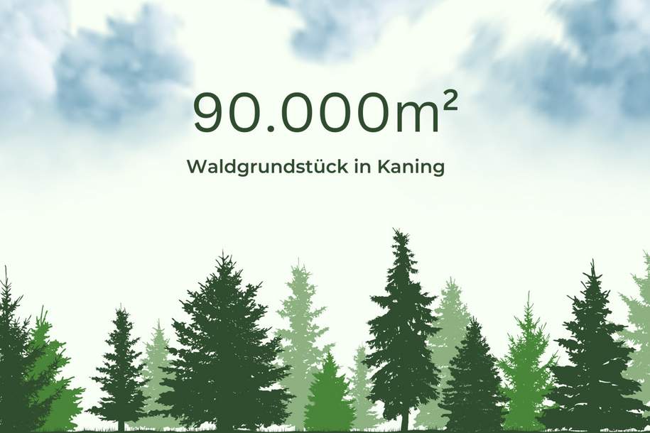 9ha Waldfläche in Kaning, Grund und Boden-kauf, 195.000,€, 9545 Spittal an der Drau