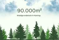 9ha Waldfläche in Kaning