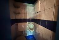 Reiterparadies im Weinviertel – Ihr Traum vom Landleben!