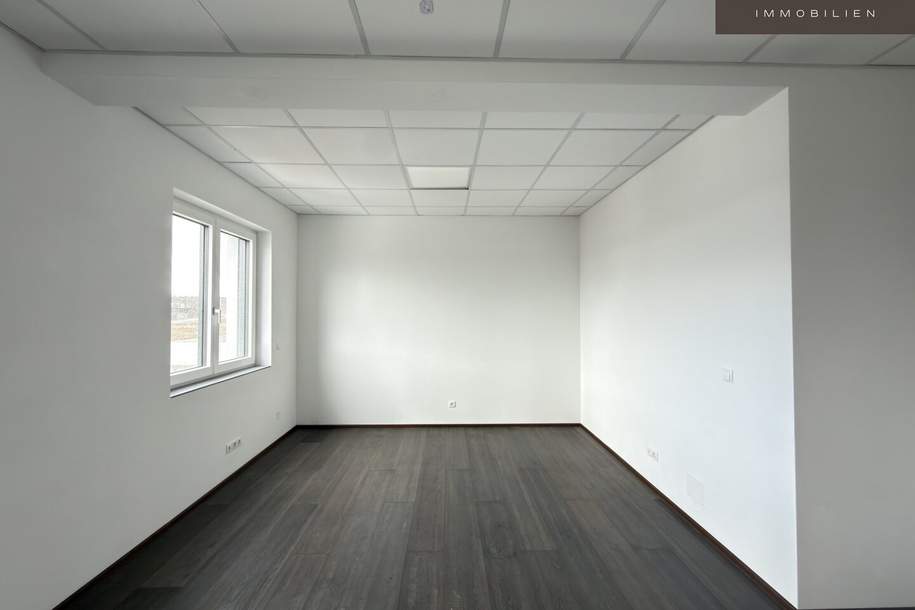 Büro oder Praxis - Neubau und Erstbezug - ALL IN MIETE, Gewerbeobjekt-miete, 580,00,€, 3462 Tulln