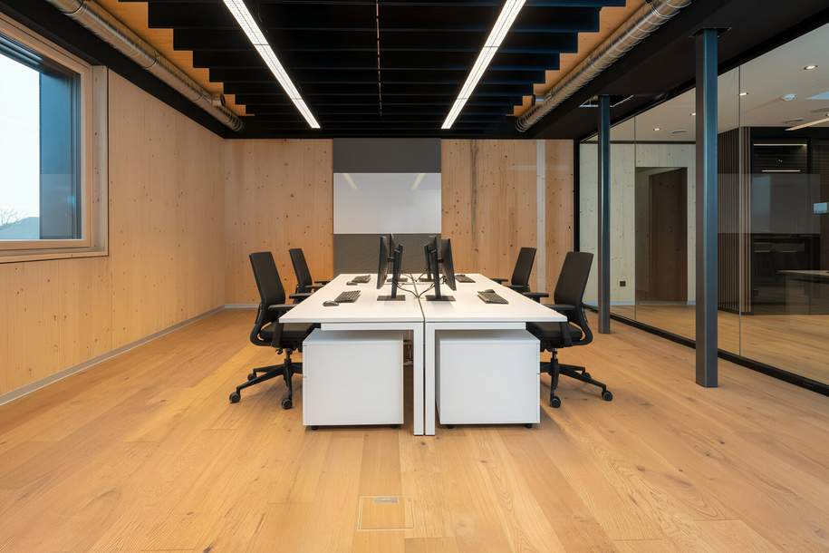 NURNOCH EIN BÜRO FREI!, Gewerbeobjekt-miete, 593,44,€, 2304 Gänserndorf