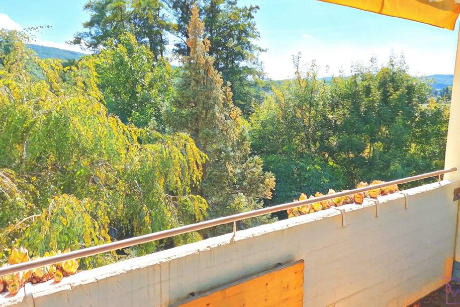 Kompakte Starterwohnung mit S/W-Loggia gleich bei Wien, Wohnung-kauf, 99.000,€, 2384 Mödling