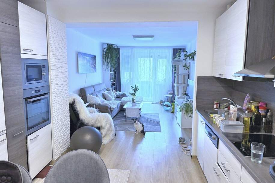 sanierte, helle Familienwohnung, Hofruhelage, exzellente Infrastruktur, Wohnung-kauf, 580.000,€, 1050 Wien 5., Margareten