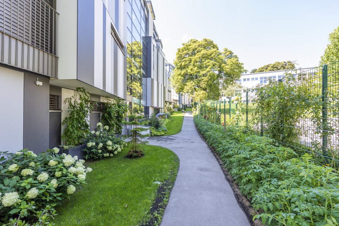 Gartenwohnung am Kaasgraben