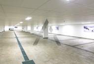 Vollmöblierte Gartenwohnung in Zentrums- & Pistennähe