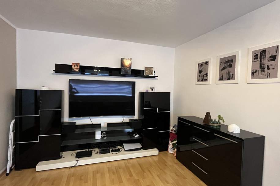 Gemütliche Wohnung in zentraler Lage (max. 2 Personen), Wohnung-miete, 850,00,€, 4020 Linz(Stadt)