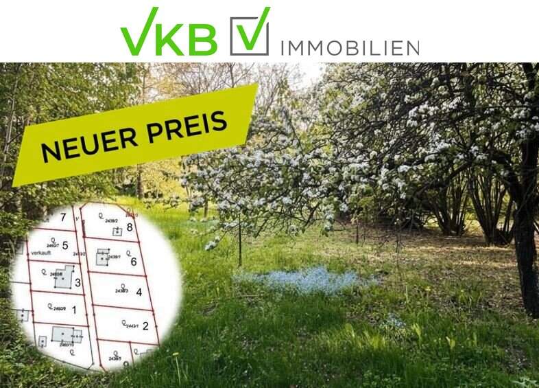 Großzügiges Grundstück nähe Gallneukirchen! - Gemeinde Alberndorf in der Riedmark (GST 2443/1)