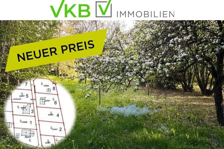 Großzügiges Grundstück nähe Gallneukirchen! - Gemeinde Alberndorf in der Riedmark (GST 2443/1), Grund und Boden-kauf, 220.000,€, 4211 Urfahr-Umgebung