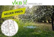 Großzügiges Grundstück nähe Gallneukirchen! - Gemeinde Alberndorf in der Riedmark (GST 2443/1)