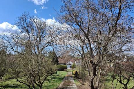 Schönes Haus mit großem Garten und Erweiterungsmöglichkeiten, Haus-kauf, 270.000,€, 7432 Oberwart