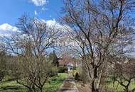 Schönes Haus mit großem Garten und Erweiterungsmöglichkeiten