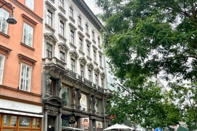 Schöne, großzügige Bürofläche im Herzen Wiens, Gewerbeobjekt-miete, 5.935,31,€, 1010 Wien 1., Innere Stadt