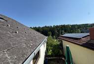 Charmantes Wohnhaus mit großem Grundstück &amp; vielseitigem Entwicklungspotenzial in Rohrbach an der Lafnitz!