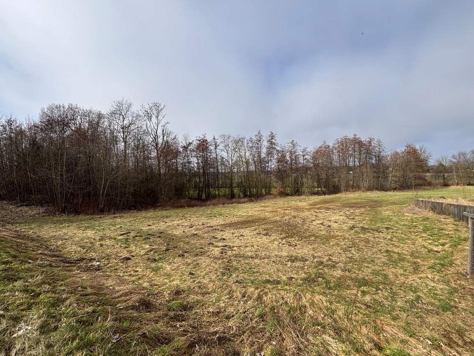 XXL Grundstück in Andorf