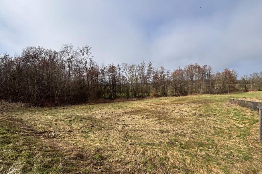 XXL Grundstück in Andorf, Grund und Boden-kauf, 115.000,€, 4770 Schärding