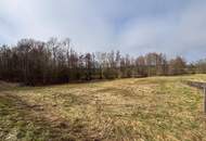 XXL Grundstück in Andorf