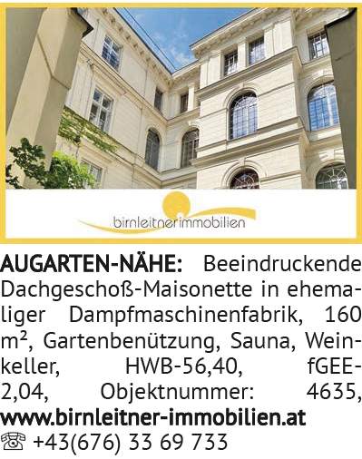 Beeindruckende Dachgeschoß-Maisonette in ehemaliger Dampfmaschinenfabrik, 160 m², Gartenbenützu