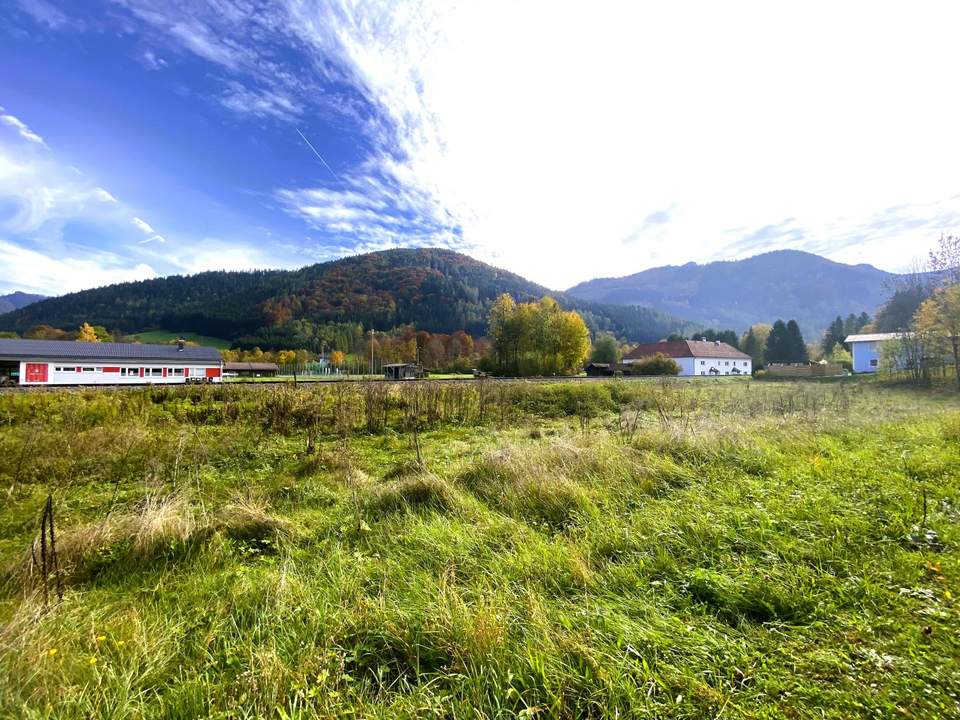 VIEL PLATZ! Großzügiges Baugrundstück im Herzen des Almtals