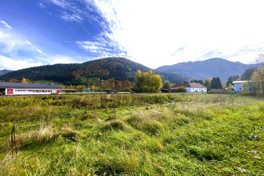 VIEL PLATZ! Großzügiges Baugrundstück im Herzen des Almtals, Grund und Boden-kauf, 145.000,€, 4644 Gmunden
