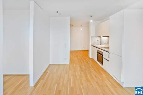 Attraktive Anlegerwohnungen im Herzen des 9. Bezirks, Wohnung-kauf, 275.000,€, 1090 Wien 9., Alsergrund