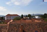 Herrliche Drei-Zimmer-Wohnung mit riesigen FREIFLÄCHEN und Garagenplatz! Schlossbergblick!