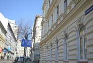 Schöne 4 Zimmer Wohnung mit Terrasse. Nähe Mariahilfer Straße
