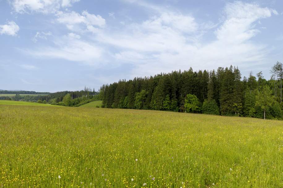 Landwirtschaftliche Flächen, Grund und Boden-kauf, 980.000,€, 4890 Vöcklabruck