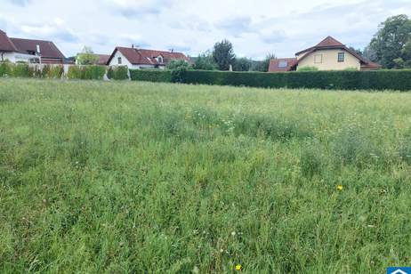 Sonniges Baugrundstück für Ihr Traumhaus, Grund und Boden-kauf, 530.000,€, 2531 Mödling