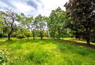 Langenloiser Straße 47- Grundstück aus Familienbesitz mit Garten und Weingarten (zwei Einheiten)