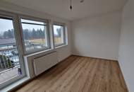 Frisch renovierte 2-Zimmer Wohnung in Wagna zu verkaufen (Provisionsfrei)