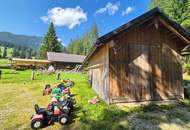 Bad Mitterndorf: Almhütte!! auf Eigengrund mit Nebengebäuden