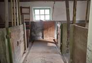 Sanierungsbedürftiges Einfamilienhaus mit diversen Nebenräumen!