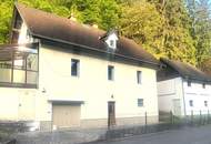Einfamilienhaus mit Potential, Nebengebäude, Carport und großem Grundstück!