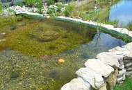 ARBEITEN UND WOHNEN UNTER EINEM DACH! 900 m² WOHN-NUTZFLÄCHE! WOHN- UND GESCHÄFTSHAUS NAHE WIEN!