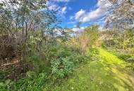 Reiterparadies im Weinviertel – Ihr Traum vom Landleben!