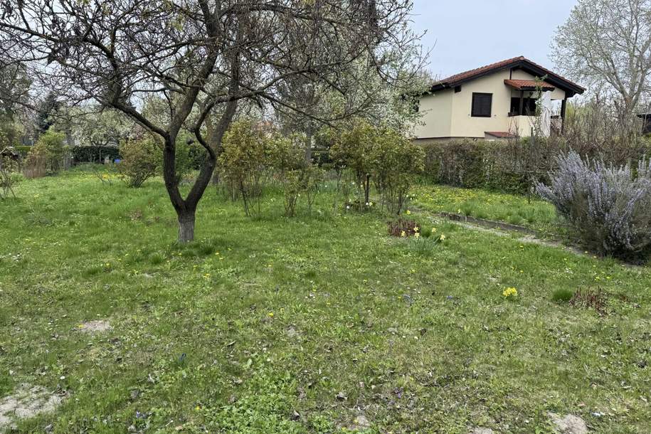 "Meine Kleingartenoase in Korneuburg", Grund und Boden-kauf, 75.000,€, 2100 Korneuburg