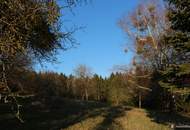 Nähe Jennersdorf: Absolute Einzellage mit einzigartigem Fernblick, 1,6 ha