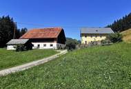 Bauernhaus mit Stallgebäude, umliegenden Wiesenflächen und Wald
