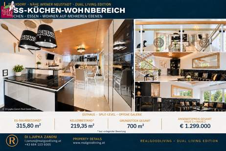 DUAL RESIDENCE FELIXDORF BEI WIENER NEUSTADT – ZWEI EIGENSTÄNDIGE HÄUSER, Haus-kauf, 1.299.000,€, 2603 Wiener Neustadt(Land)