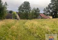 Günstiger Hof für Bastler im Waldviertel!