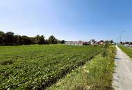 Attraktives Gewerbegrundstück als BAURECHT im Industriegebiet Oberwart