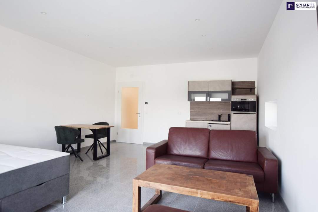 VOLLMÖBLIERTE Garconniere mit 45m² in der MALERISCHEN West-Steiermark! ERSTBEZUG ab sofort verfügbar!