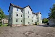 Frisch saniert 1-Zimmerwohnung mit Küche