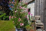 ***Besichtigungstag, Freitag, 15. Mai 2026 von 13 - 15 Uhr*** Saniertes Sacherl mit modernem Wohnkomfort im Herzen des Sauwalds