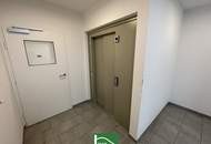 Zentral wohnen und die Natur genießen – Willkommen in Wiener Neustadt