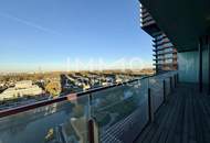 TOP-Ausblick: City mit Stephansdom, Donaukanal, Prater. Concierge, Party & BBQ Lounge, Pool usw.
